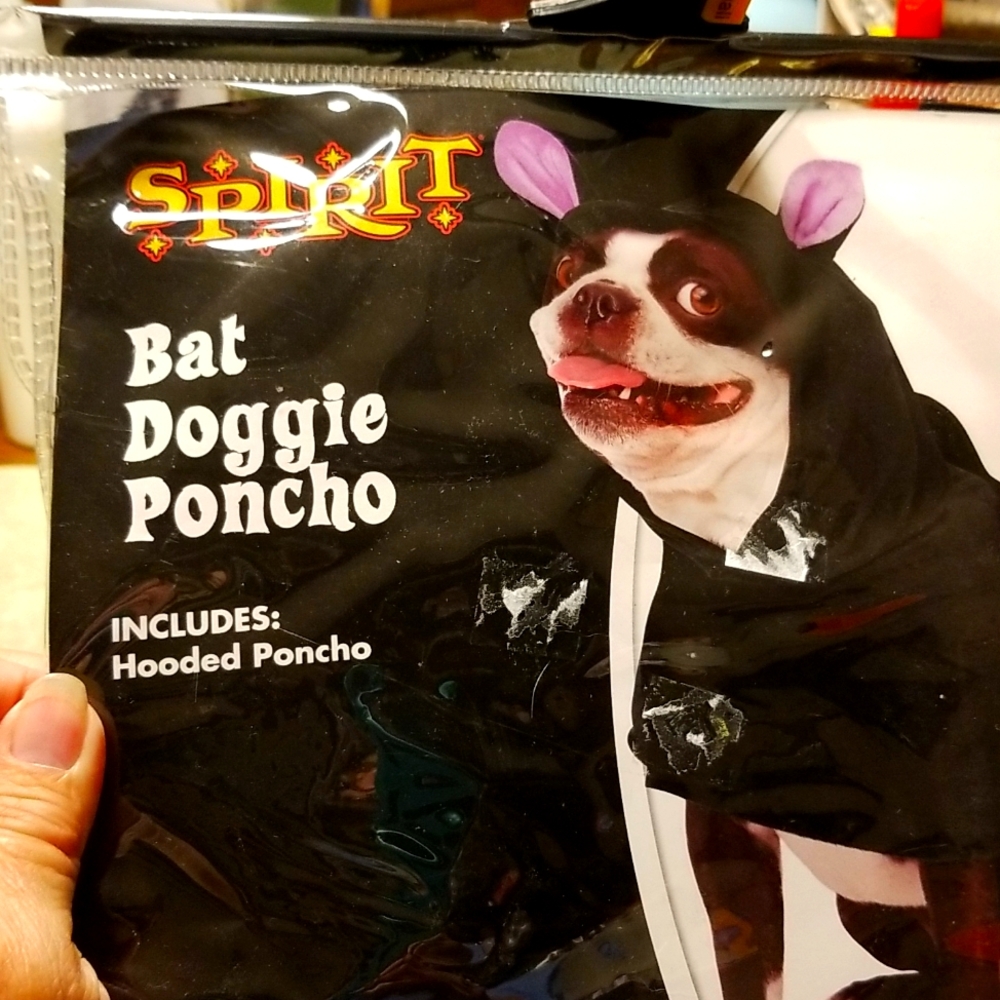 Spirit of Halloqeen bat doggie poncho